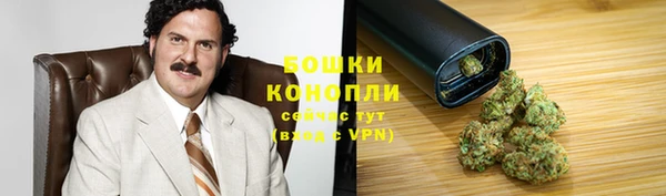 spice Абаза