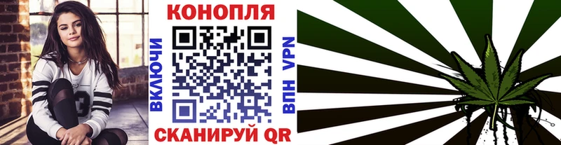 Конопля гибрид  Красноармейск 